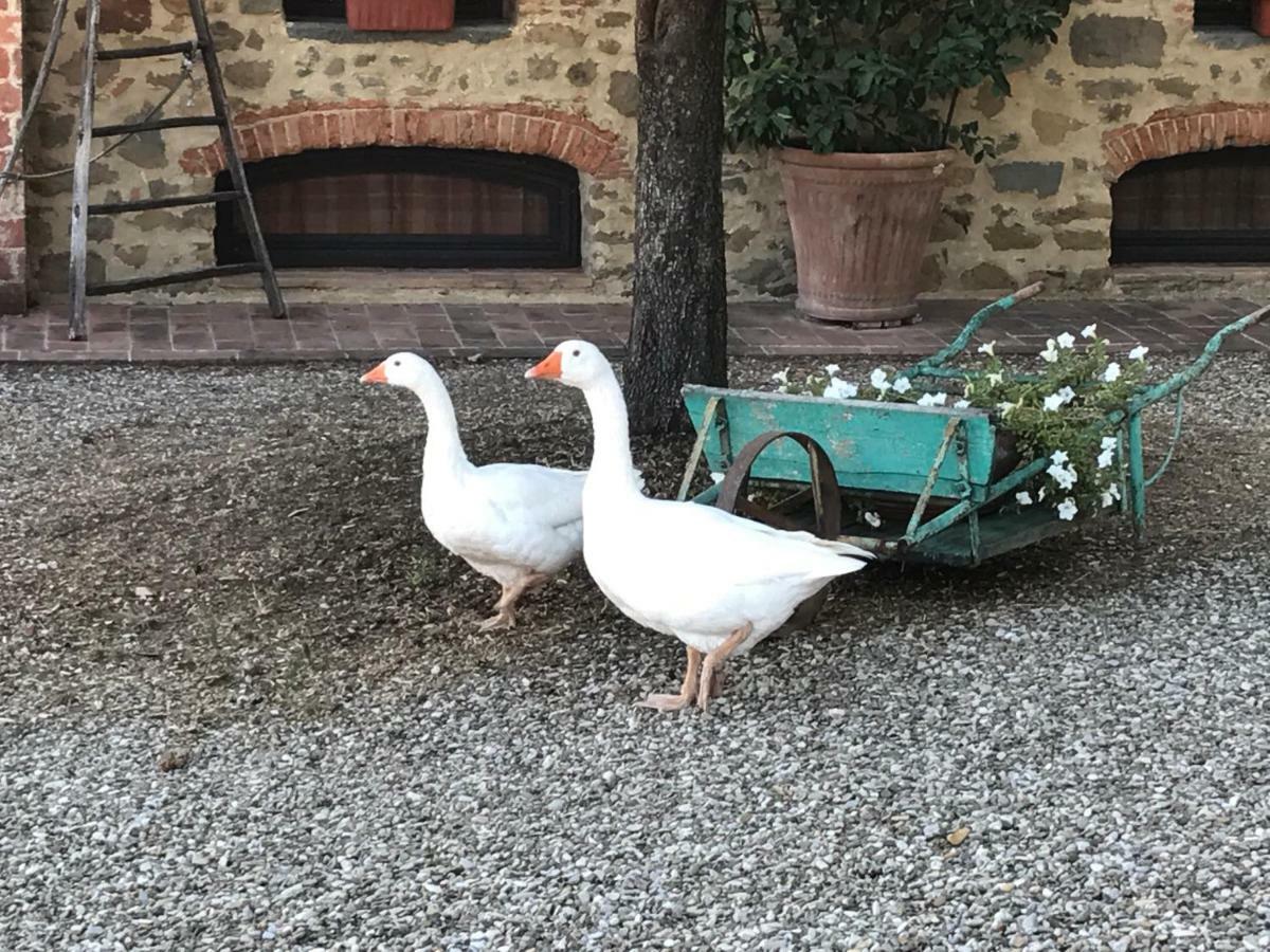 Podere La Fausta Serravalle Pistoiese Екстер'єр фото